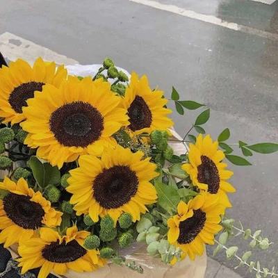 米博体育网站官网版官方入口