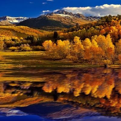 球王会官网注册